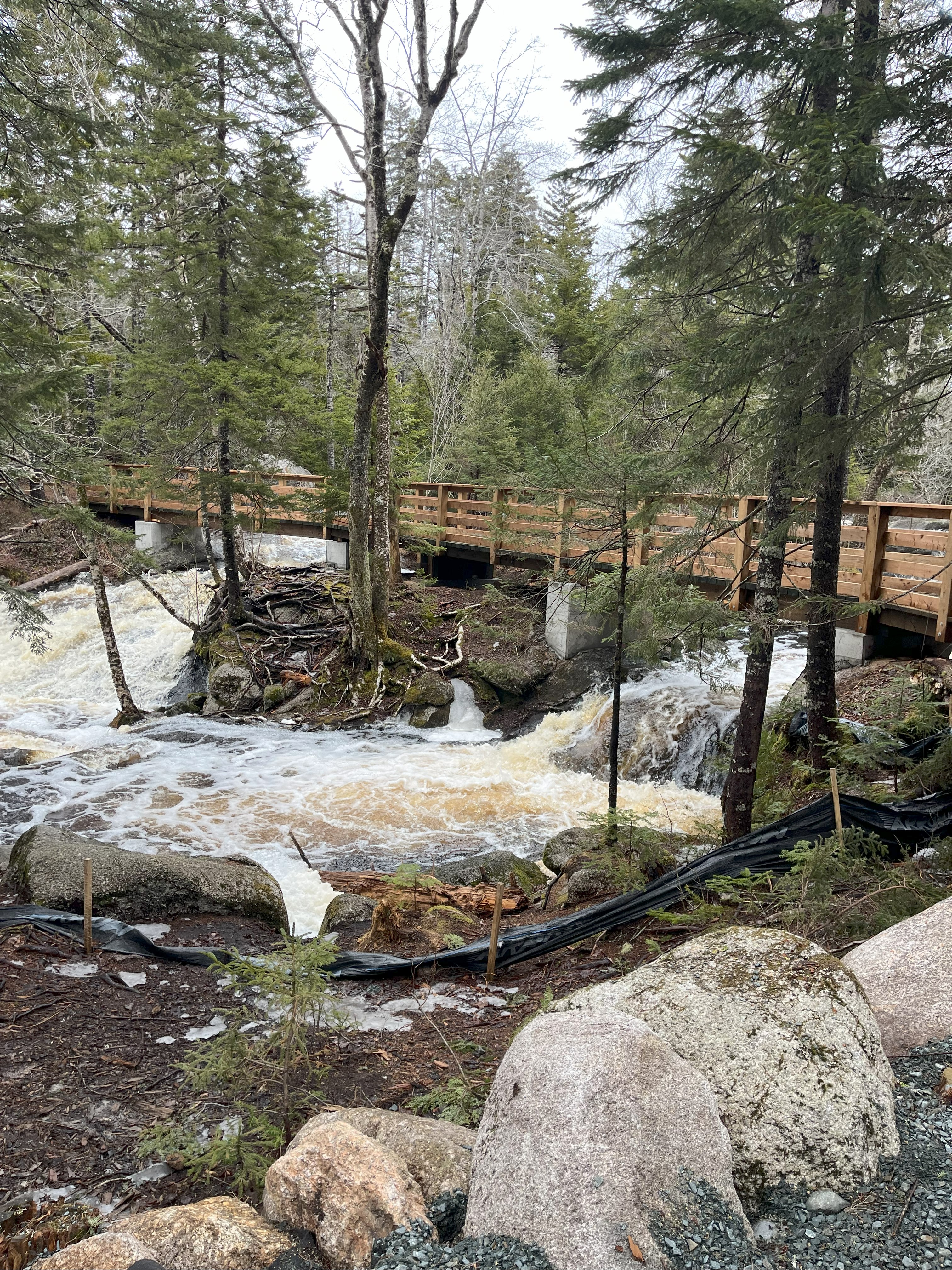 WCWC Trail Bridge 2