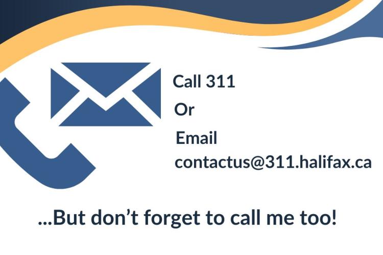 call or email 311